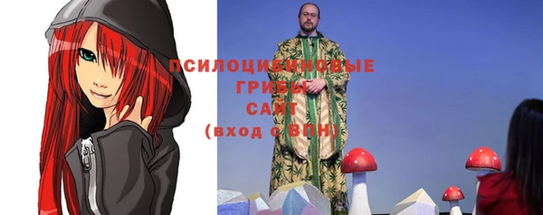 spice Алексеевка